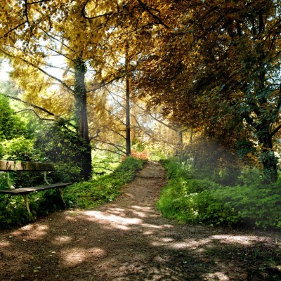 1920 x 1080 HD Wallpapers 2473